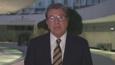 Dijo que el ejercicio que se realizará este fin de semana tiene vicios de origen