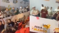 VIDEO: Arrojan pollos vivos desde carro alegórico en Medellín de Bravo, Veracruz