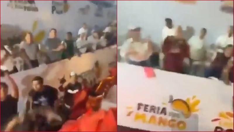 VIDEO: Arrojan pollos vivos desde carro alegórico en Medellín de Bravo, Veracruz
