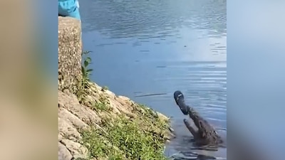 Fue 'molestado' por un par de jóvenes que acudieron al parque