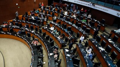La norma podría hacer que hombres que tengan antecedentes de violencia de género puedan ser candidatos en el 2024
