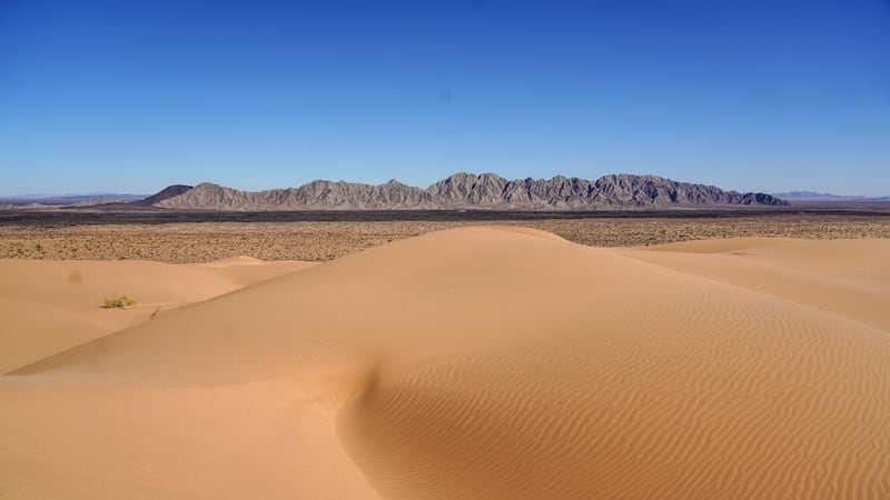 Hombre de 81 años sobrevive 4 días atrapado en el desierto de Sonora