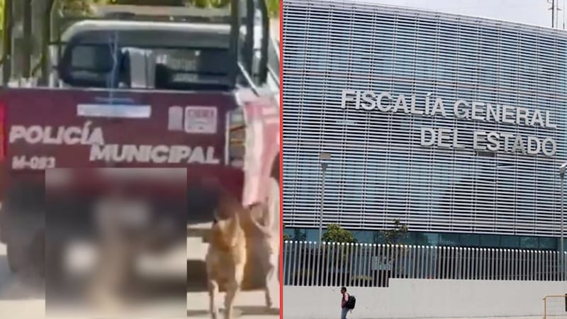 “Cero tolerancia al maltrato animal”: Investigan a patrulla que arrastró a un perro en Puebla