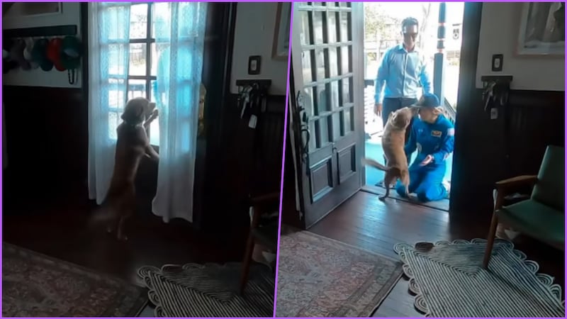 VIDEO: Astronauta de Artemis II comparte reencuentro con su perrita tras volver del espacio