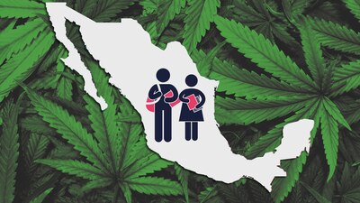 8 de cada 10 mexicanos aprueban su uso para fines de salud