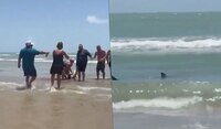 VIDEO: Tiburón ataca a dos personas en Isla del Padre, en Texas, Estados Unidos