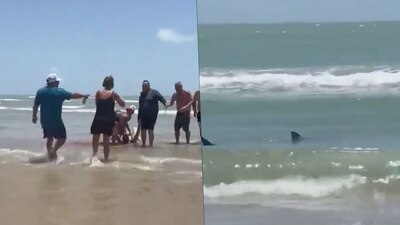 En los videos tomados por bañistas se aprecia el momento en que la mujer es sacada del agua, con heridas