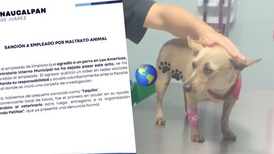 Fue nombrado así ya que trabajadores de una taquería lo auxiliaron