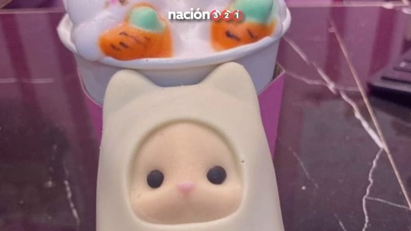 ¡Tierna gastronomía! Venden en CDMX ‘Ternuritamales’ y ‘Labubutamales’