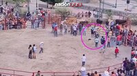 VIDEO: Indigna ‘carrera de gatos’ en Guanajuato, los corretearon y les prendieron pirotecnia