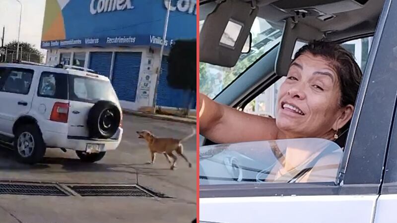 VIDEO: ¿Lo abandonó? Denuncian a mujer por abandonar a su perrito en Puebla