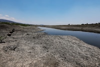 La Tierra alcanza récord de CO2, se espera aumento en calentamiento global: OMM