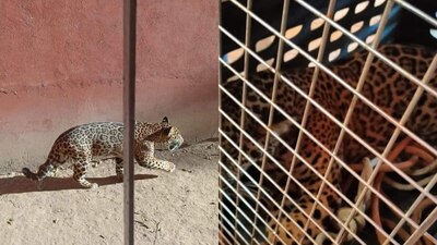 Se encontraba cerca de un jardín de niños