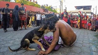 El perrito sintió empatía por el joven actor