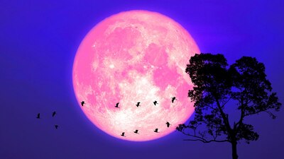 Será la cuarta del 2024