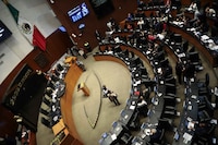 Reforma contra doble nacionalidad consigue votos necesarios en 20 estados; está lista para ser ley