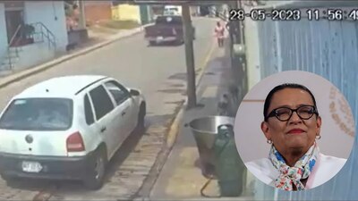 Por el hecho se pronunció el presidente López Obrador, quien dijo, es necesario proteger a todos los animales