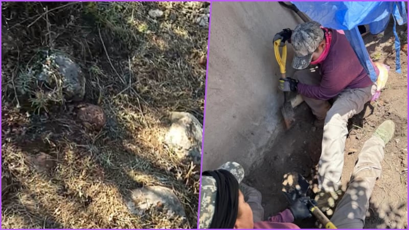 Localizan nueva fosa clandestina en Irapuato; hasta el momento han hallado 6 cuerpos sin vida