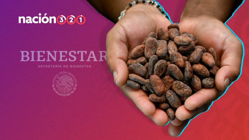 ¿De dónde proviene el cacao para la elaboración del Chocolate del Bienestar?