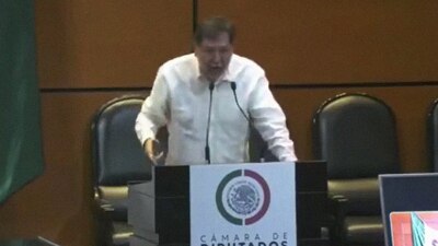 El Legislador durante su intervención en la Cámara de Diputados