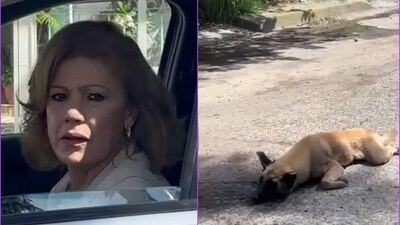 Una mujer arrastró a un perrito con su camioneta peor fue interceptada por ciudadanos