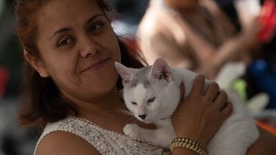 Las nuevas medidas buscan dar una vida digna a los animales en la entidad