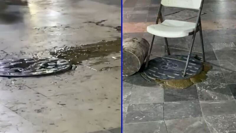 Captan brote de heces fecales en alcantarillas del Zócalo de Acapulco