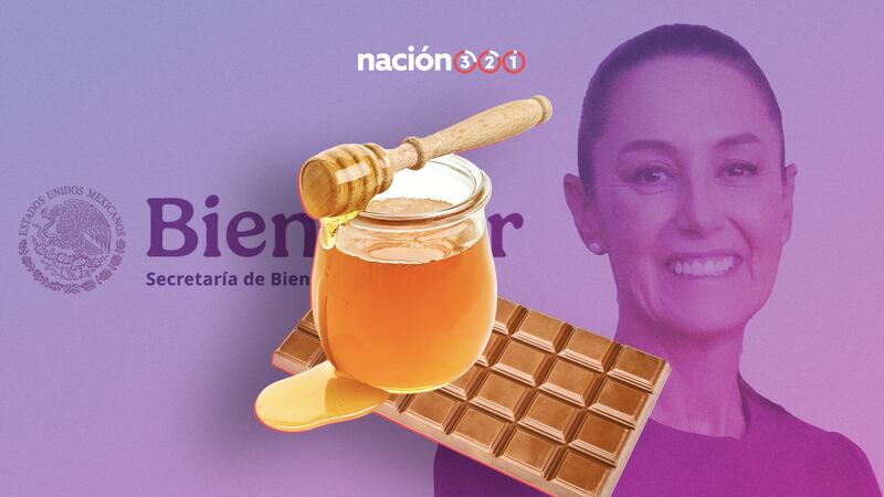 Del chocolate a la miel: Así serán los productos del Bienestar