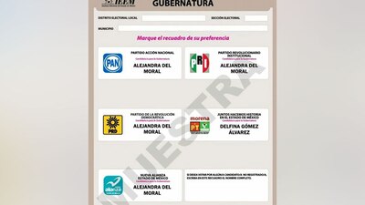 De acuerdo con la ley cuando hay una coalición cada partido aparece con su emblema