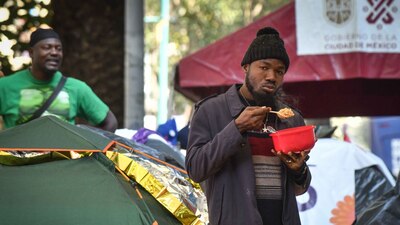 La propuesta prevé imponer a los responsables una multa de entre 5 mil y 15 mil veces la UMA