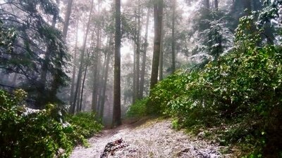 Los accesos al Volcán Xinantecátl fueron cerrados al público