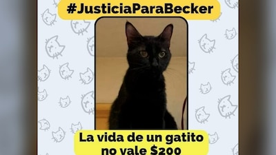 El asesino de 'Becker' deberá trabajar seis meses en labores comunitarias, pagar una multa y tomar terapia.
