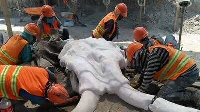 En diciembre de 2019, los investigadores tenían una idea de los hallazgos, pero no imaginaron la cantidad