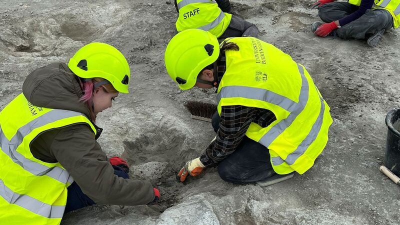 Descubren ‘autopsia de dinosaurios’ de 166 millones de años; da pistas de interacción de estos animales