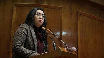 La legisladora de Morena acusó que PRD, PAN y el PVEM han conformado un Frente Antidemocrático