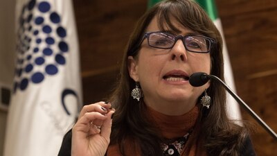 La directora del Consejo recalcó la importancia de incluir a las Ciencias Sociales