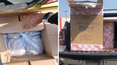 Los detenidos fueron llevados a proceso por delitos contra la salud.