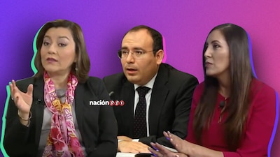 Ellos podrían ser los próximos integrantes del Tribunal Electoral