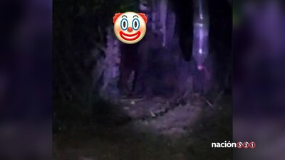 Se utilizaron drones, policías a pie y monitoreo constante, pero nunca dieron con el "gorila"