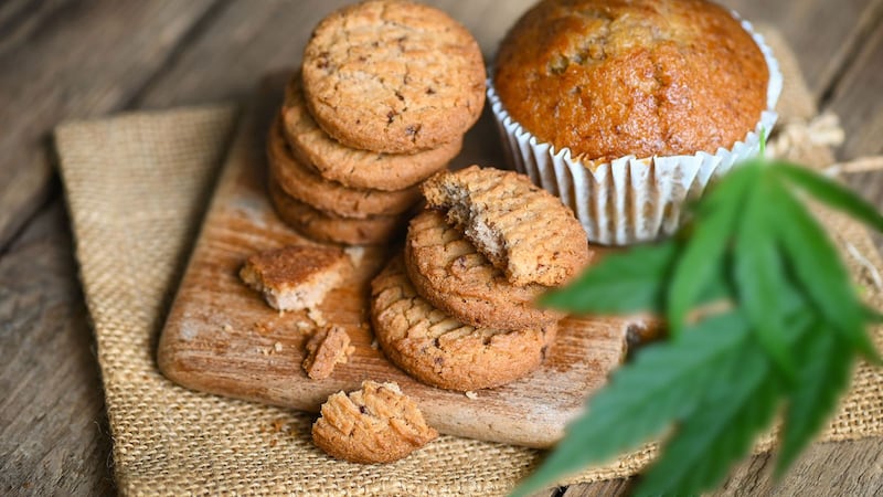 Suprema Corte permite preparar alimentos con cannabis para autoconsumo