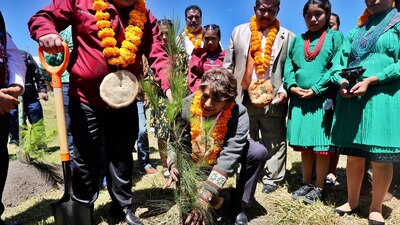 La maestra sembró un árbol
