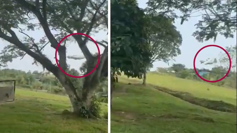VIDEO: Avión de la milicia colombiana se estrella; reportan más de un centenar de víctimas