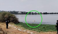 Reaparece cocodrilo en laguna de Izcalli; lo ven como atractivo turístico