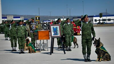La última misión de Proteo fue en Turquía, donde murió ayudando a las víctimas de un terremoto.