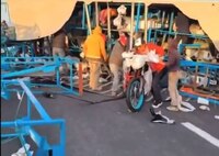 VIDEO: Accidente de tráiler acaba en rapiña de motos en el Edomex