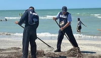 Retiran más de 889 toneladas de crudo en playas mexicanas tras derrame en el Golfo