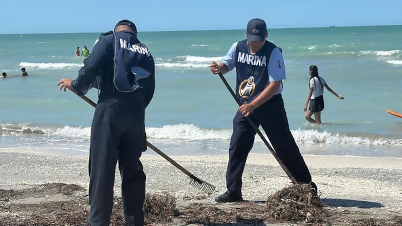 Retiran más de 889 toneladas de crudo en playas mexicanas tras derrame en el Golfo