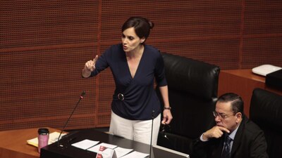 La senadora aseguró que el gobierno mexicano busca expropiar ejidos