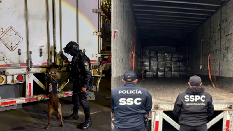 Perro policía detecta 1.2 toneladas de mariguana ocultas en cajas de huevo; hay 4 detenidos