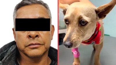 Jorge "N" llevará su proceso en libertad hasta que se dicte sentencia